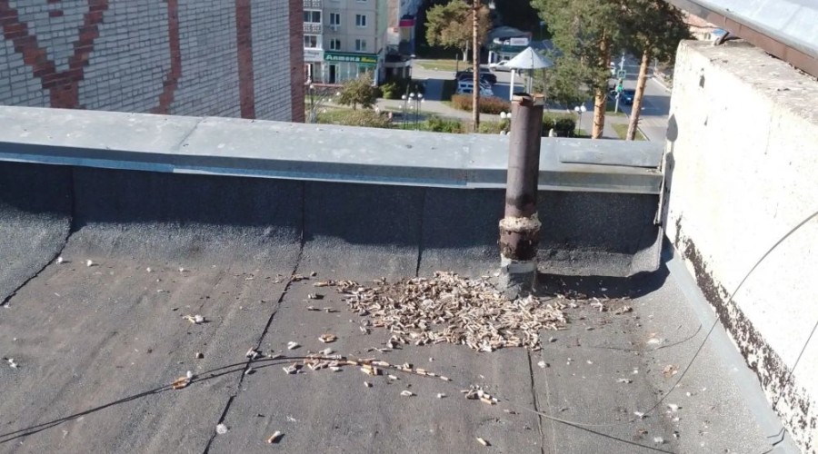 Коммунальщики Заречного провели сезонную чистку кровель