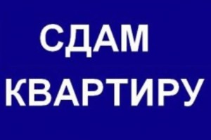 Сдам однокомнатную квартиру рядом с ТЦ «Галактика» — для семейной пары, без животных