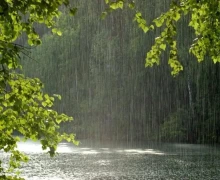 По сообщению синоптиков, 03 июня местами в Свердловской области прогнозируются дожди, ливни, град, грозы и сильный ветер с порывами до 24 м/с