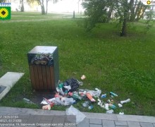 Чистота в Заречном: ответственность каждого жителя и гостя города