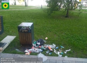 Чистота в Заречном: ответственность каждого жителя и гостя города