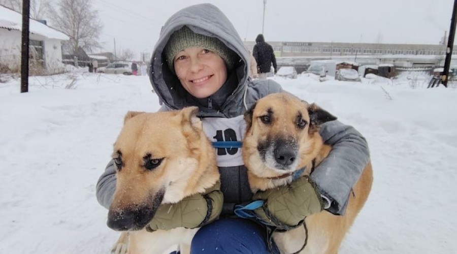 В выходные зареченские собачники соревновались в Асбесте на Зарничке