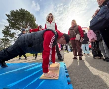 Отличный день для прогулки!