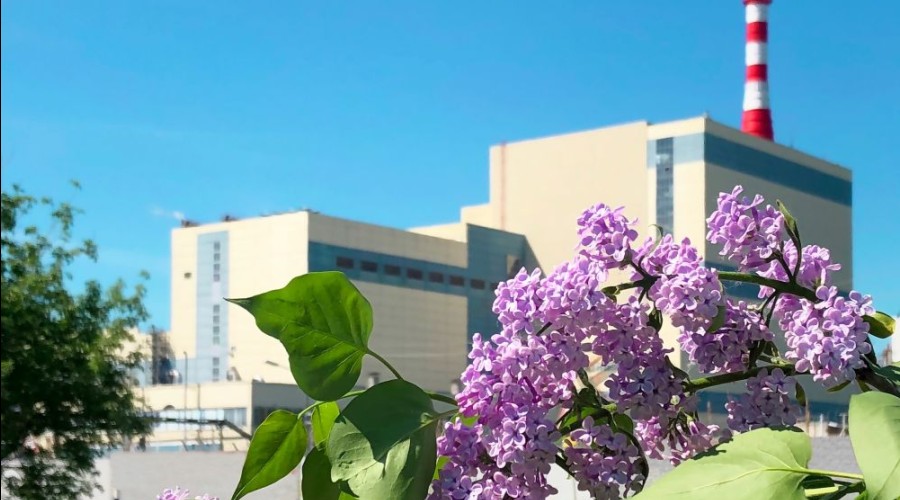 Собрали фотографии ко дню рождения!