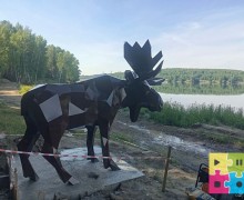 Наслаждаемся тёплыми летними вечерами и гуляем по строящейся экотпропе