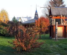Посуточная аренда эко-дачи с домом-баней в Курманке