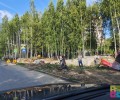В Заречном на улице Курчатова вырубили кустарник вдоль дороги