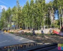 В Заречном на улице Курчатова вырубили кустарник вдоль дороги