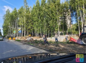 В Заречном на улице Курчатова вырубили кустарник вдоль дороги