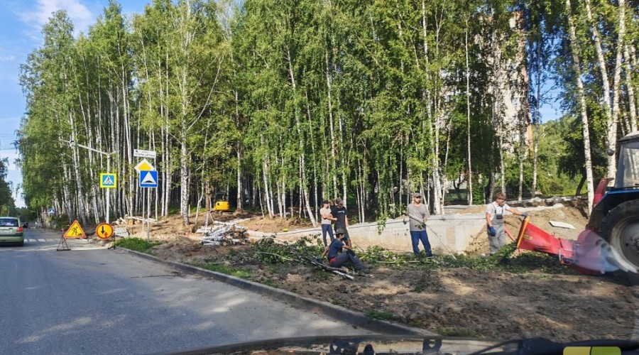 В Заречном на улице Курчатова вырубили кустарник вдоль дороги