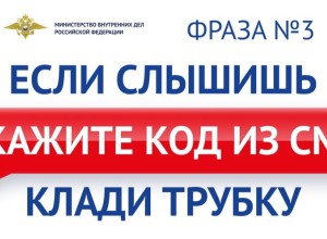Мошенники обманули зареченского пенсионера на 310 тысяч рублей