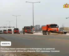 Небольшой снег, местами мокрый, прошел в Свердловской области в ночь с 15 на 16 февраля