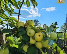 Лето пролетело, оставив яркие воспоминания и прекрасные кадры – от наших подписчиков