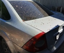 Ford Focus, 