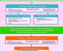 Вывоз мусора после субботников