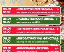 Собрали для вас интересное, что будет происходить в округе в новогодние каникулы