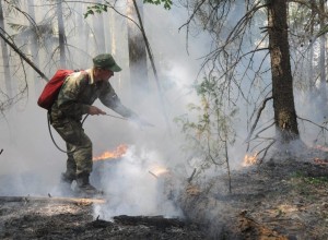 Дата начала пожароопасного сезона перенесена с 10-го на 5 апреля.