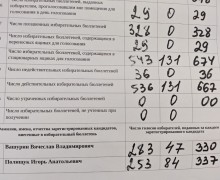 В округе №16 определили победителя с минимальным отрывом